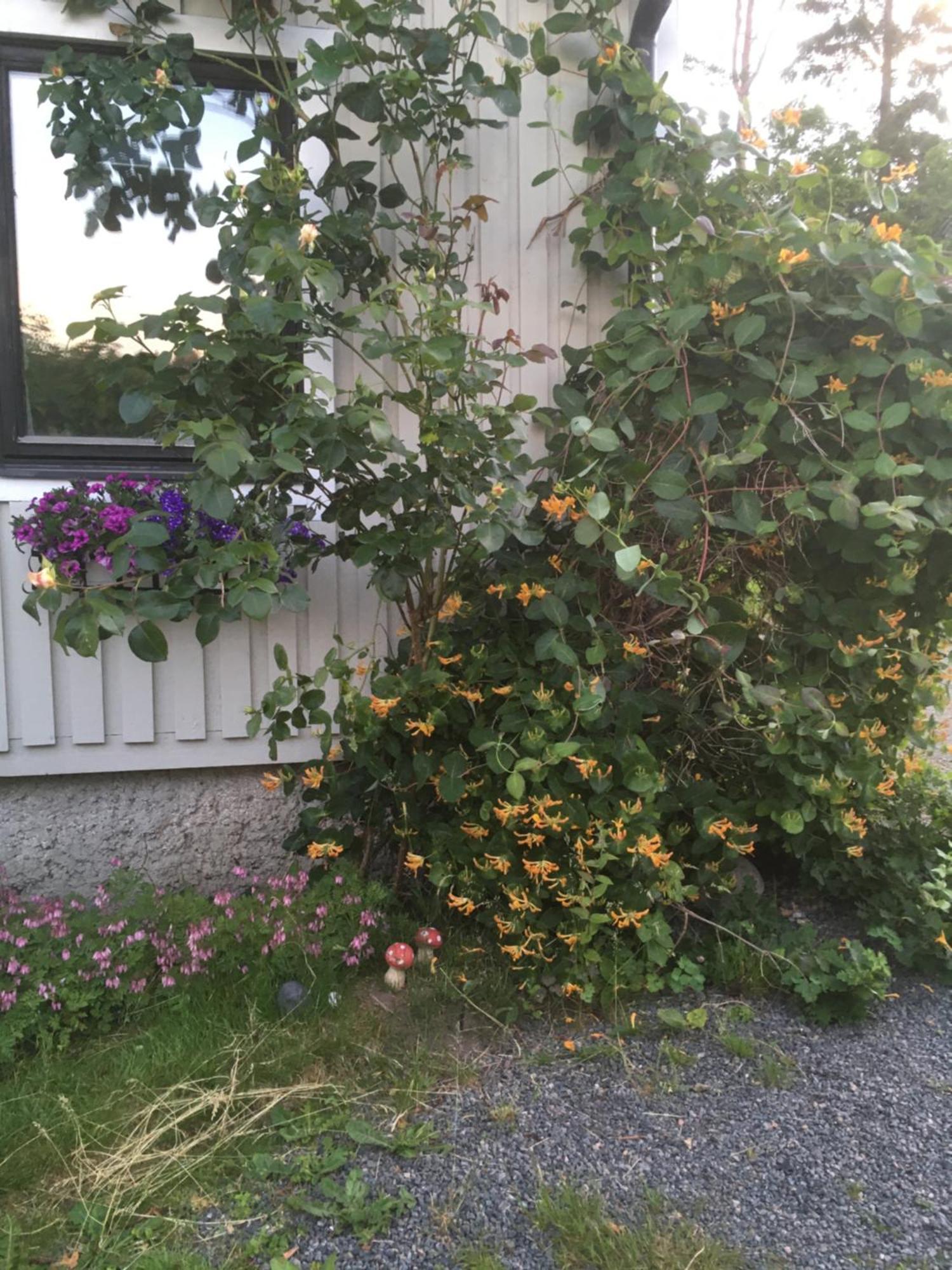 Airbnbekasberg Olofstorp Exterior foto
