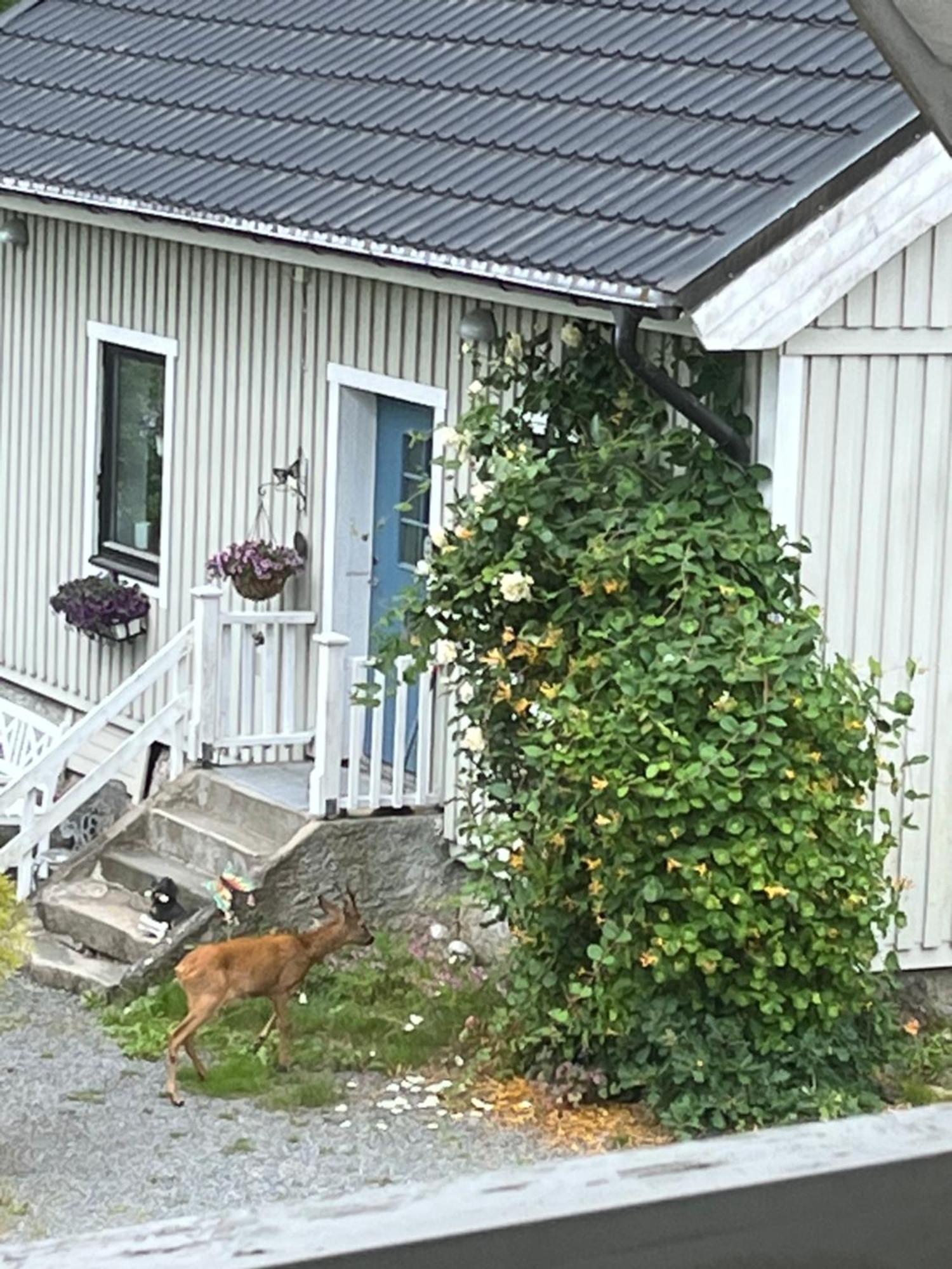 Airbnbekasberg Olofstorp Exterior foto